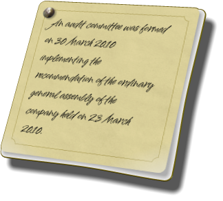 An audit committee was formed on 30 March 2010 implementing the recommendation of the ordinary general assembly of the company held on 23 March 2010.